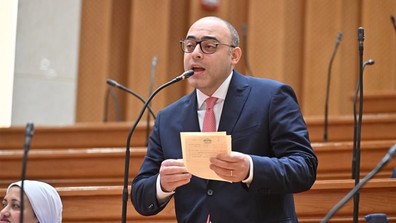 النائب أحمد فايد، عضو مجلس النواب 