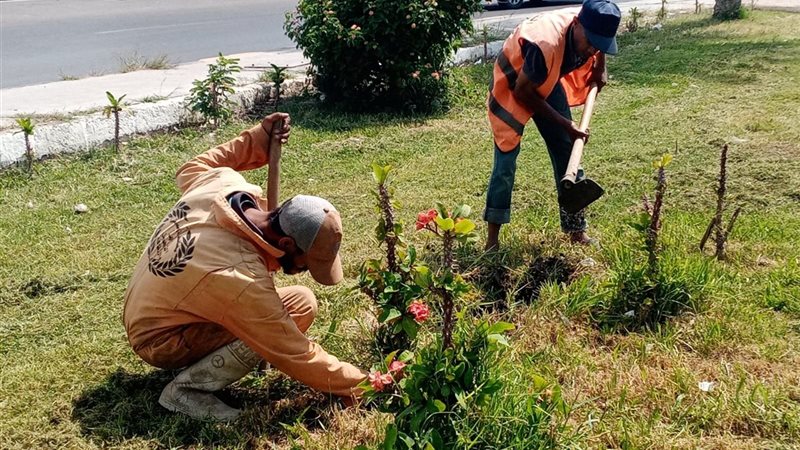 أعمال مبادرة زراعة