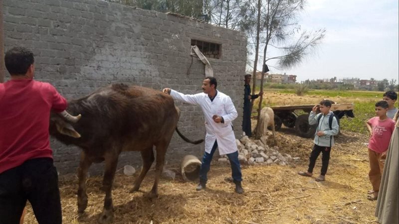 قافلة بيطرية مجانية