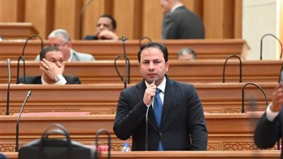 برلماني: تعديل قانون التأمينات تنهي التشابكات المالية وتضمن حقوق الأجيال القادمة