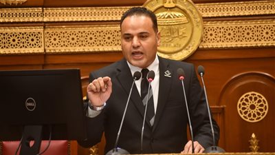 من السفر حتى العودة.. عضو بالشيوخ يطلق مبادرة لحماية حقوق المصريين بالخارج 