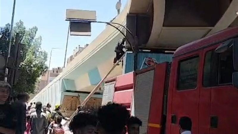 إنقاذ قطة معلقة أعلى كوبري في قنا