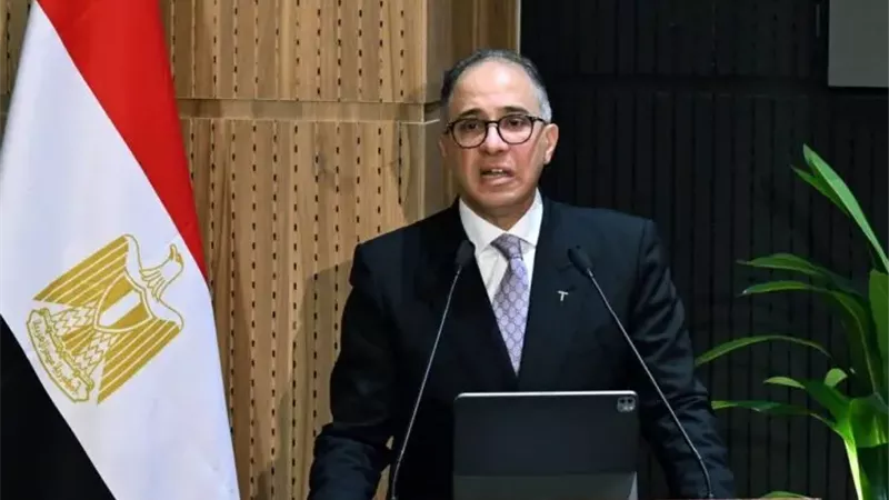 النائب أحمد شلبي،