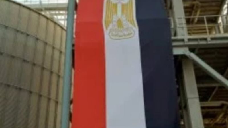 ضوابط توريد القمح