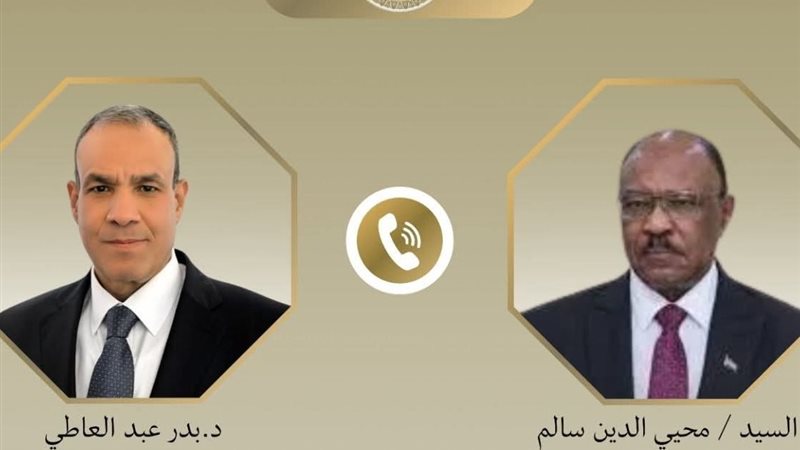 د. بدر عبد العاطي،