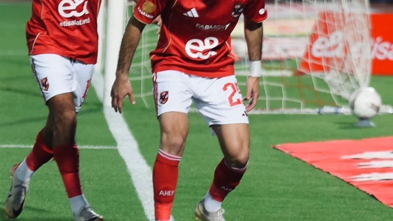 تفصيلة