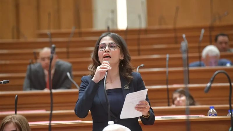 النائبة نيفين اسكندر،