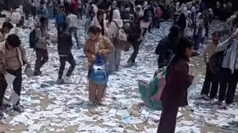 فناء مدرسة بالدقهلية 