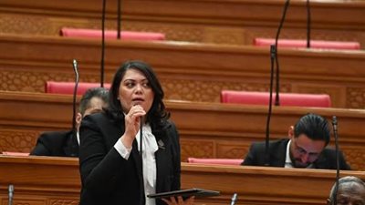 طلب برلماني بشأن انتهاء العمل بقانون تقنين أوضاع المنشآت الصناعية غير المرخصة