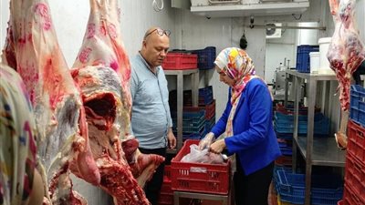تشديد الرقابة على الأسواق.. تشميع 31 منشأة وتحرير 71 محضرًا في المنيا وملوي