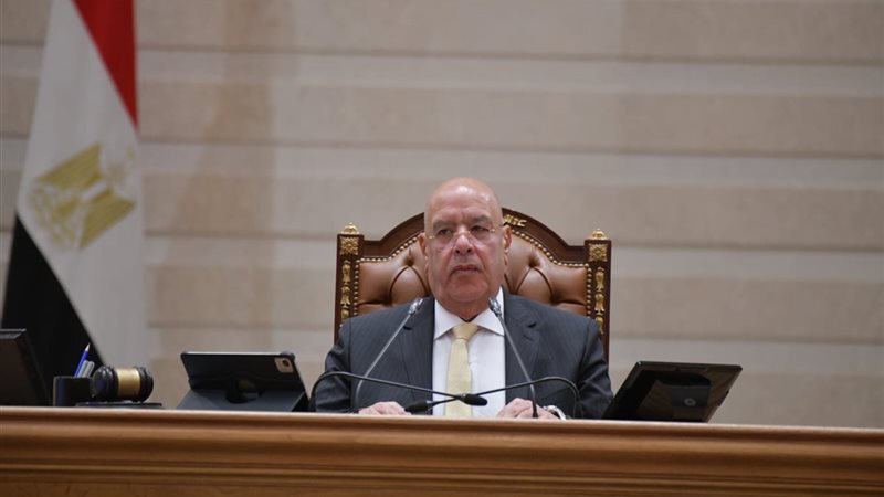 المستشار هشام بدوي،