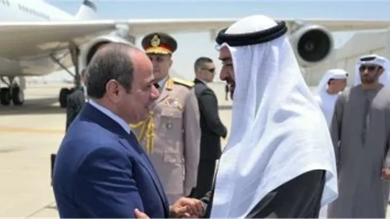  زيارة الرئيس السيسي