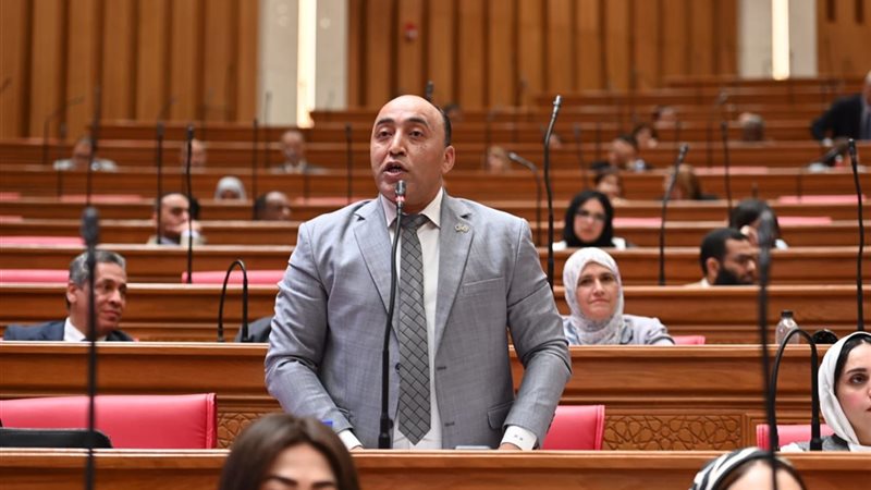 النائب حسام حسن،
