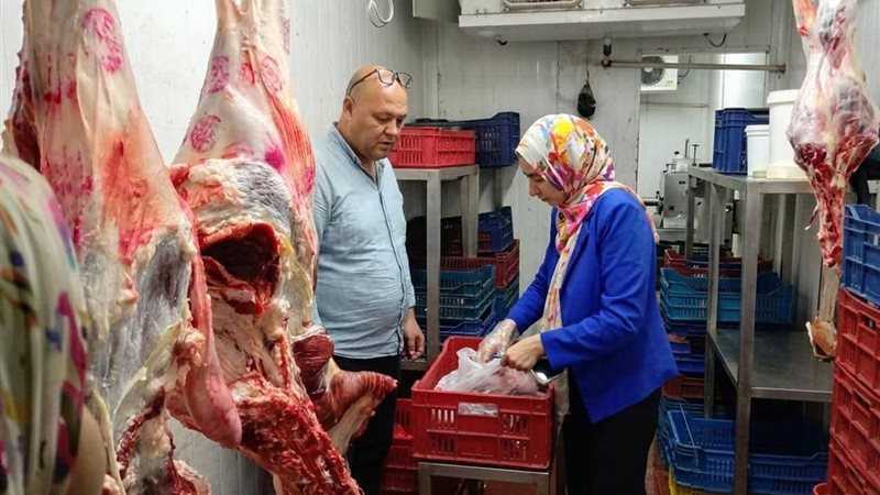 تموين المنيا 