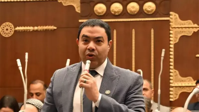 النائب إسماعيل الشرقاوي،