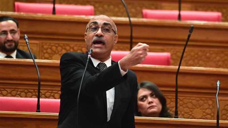 النائب إيهاب منصور،
