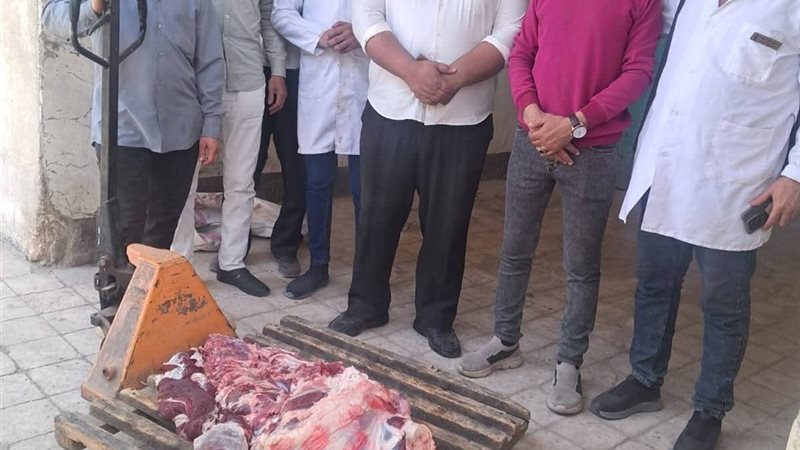الحملة