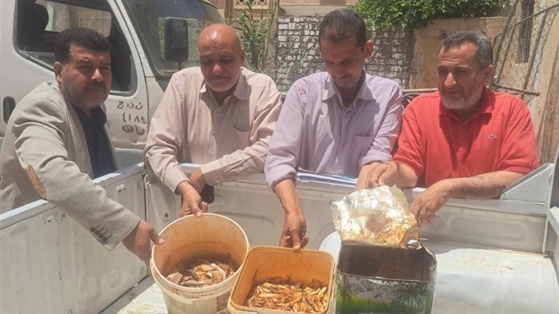 تموين المنيا 