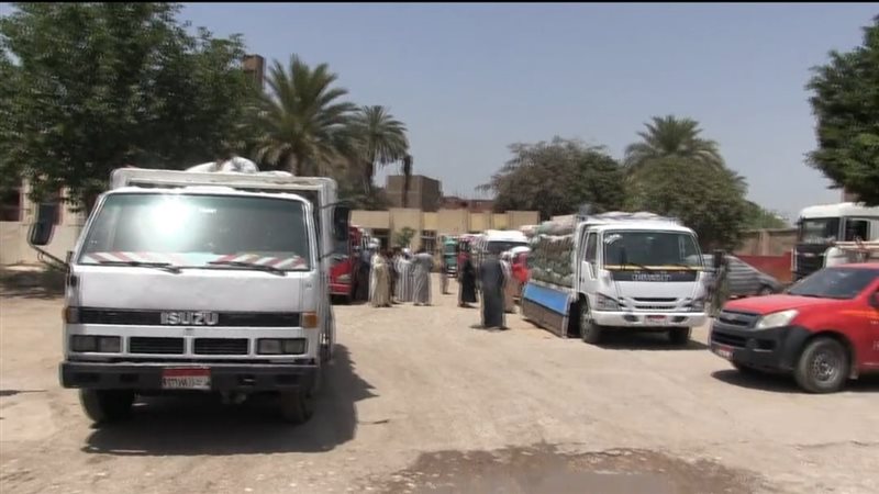 توريد القمح بسوهاج