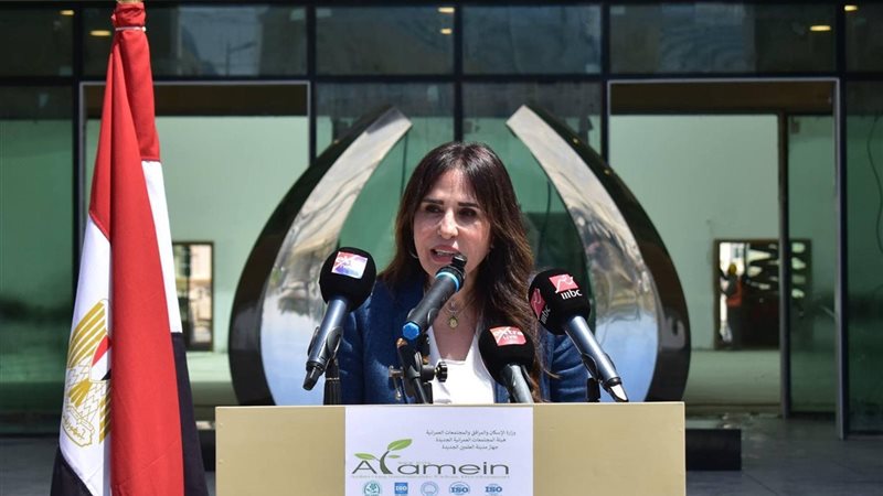  المهندسة راندة المنشاوي