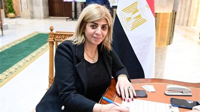 تحرك برلماني عاجل.. النائبة أميرة فؤاد تطالب بتعديل آليات احتساب العربي والتاريخ لطلاب الشهادات الدولية
