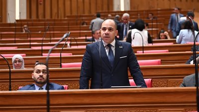 علي خليفة يطالب بإنقاذ بيوت الثقافة في بولاق الدكرور وإعادة تشغيل زنين