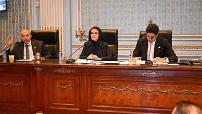 خلال اجتماع اللجنة الاقتصادية.. أشرف عبد الغني: تعديلات قانون الشركات 