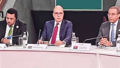 وزير الري يشارك بجلسة 
