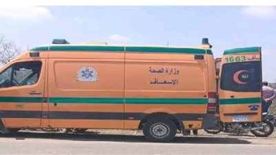 خلص عليها قصاد أولادهم... عاطل ينهي حياة زوجته طعنًا في الشرقية