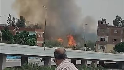 إصابة 3 أشخاص إثر اندلاع حريق بمنزل في الدقهلية
