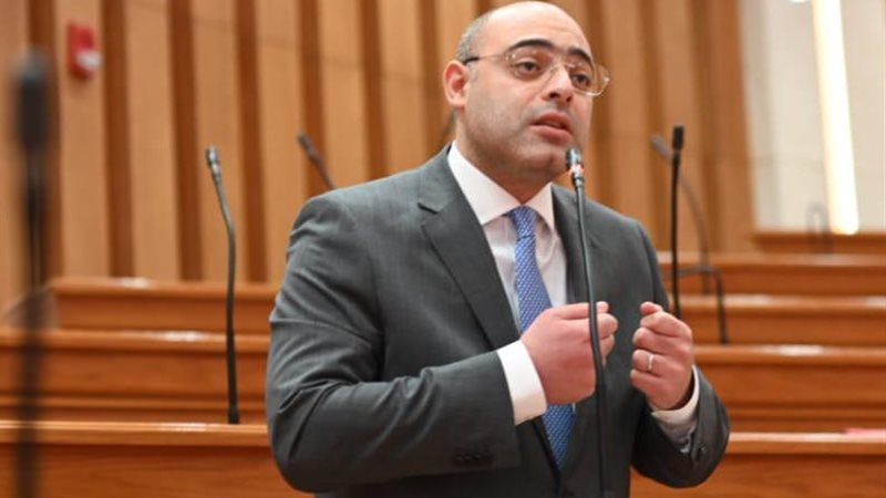 النائب أحمد فايد،