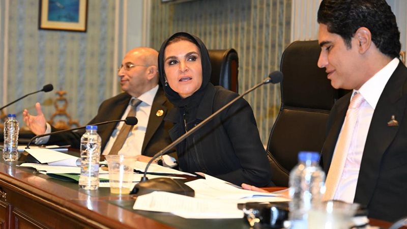 اجتماع اللجنة الاقتصادية