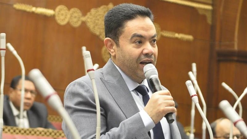 النائب إسماعيل الشرقاوي