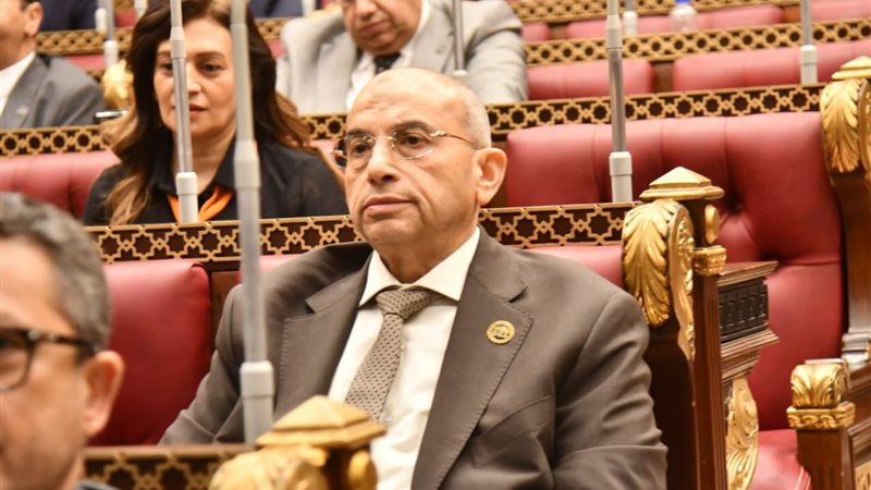 النائب أشرف عبدالغني