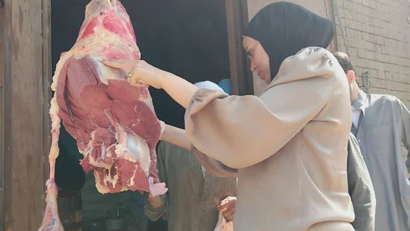 تموين المنيا 
