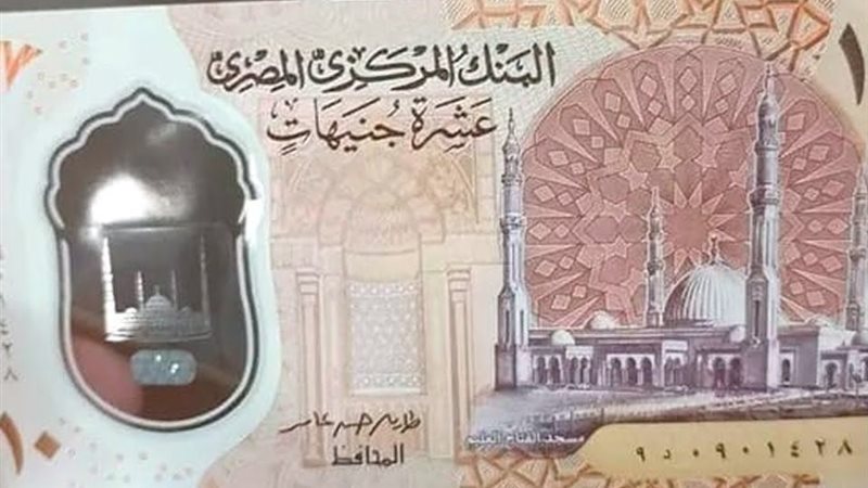 الفلوس البلاستيكية