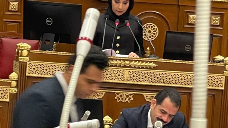 مجلس الشيوخ 