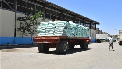 توريد 133 ألف و595 طن قمح لصوامع وشون أسيوط