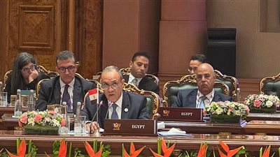 مصر تشارك في اجتماع وزراء خارجية دول مجموعة البريكس