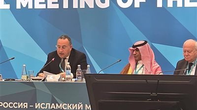 مصر تؤكد على توسيع التعاون الأكاديمي والبحثي بين روسيا ودول العالم الإسلامي