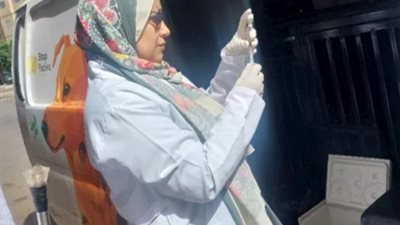 حملات بيطرية موسعة بالبحيرة لتحصين وتعقيم الكلاب الضالة والحد من السعار