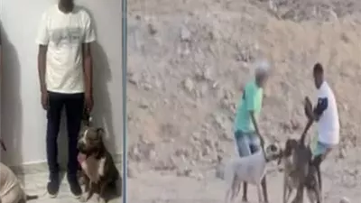 ضبط شخصين ظهرا في فيديو الاعتداء على كلب ضال بالغردقة