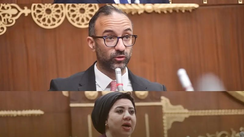 نواب تنسيقية شباب