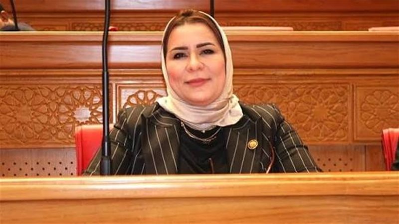 النائبة نيفين الكاتب،