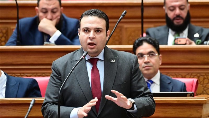 النائب عبد المنعم