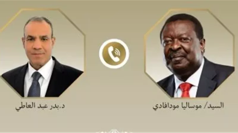 وزير الخارجية 