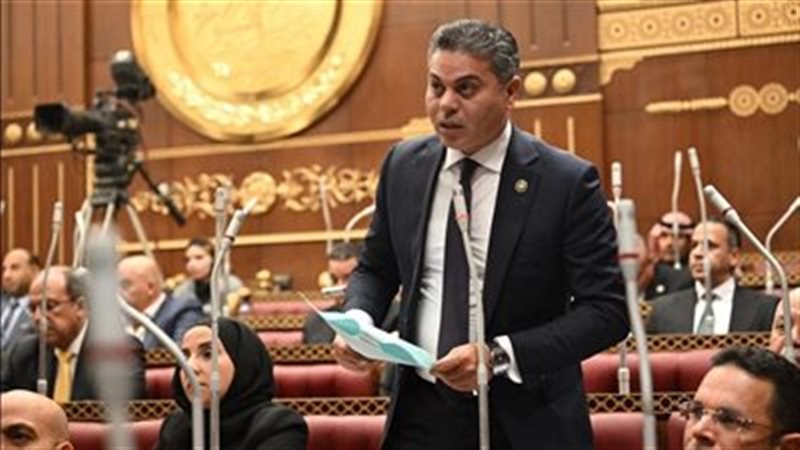 النائب مجدي البري