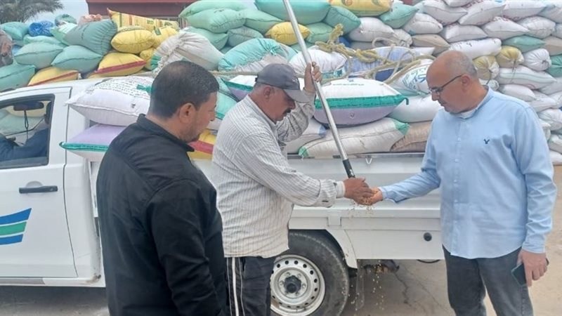 توريد محصول القمح