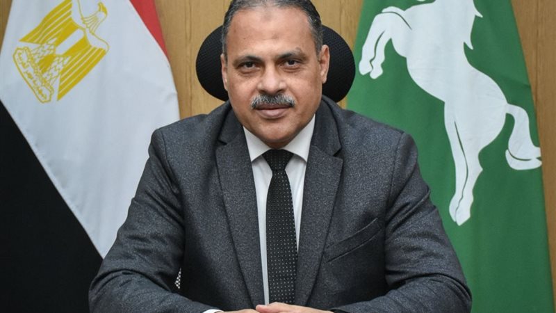 محافظ الشرقية 