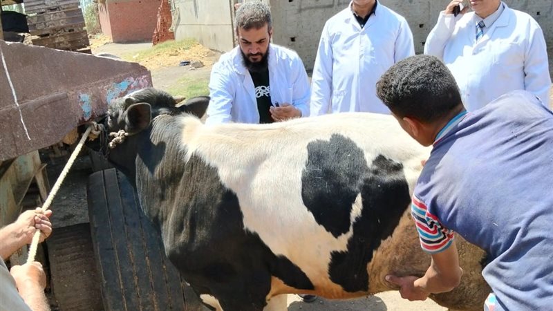 قوافل بيطرية 